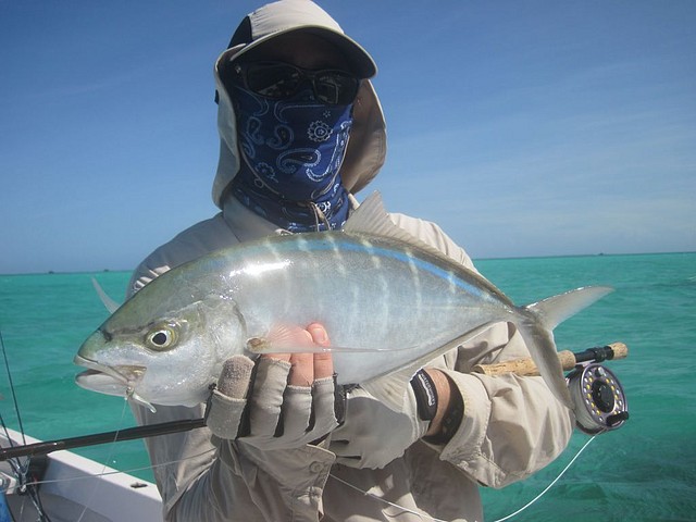 Roques 2011 - bluerunner