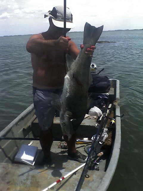 negra 10kg laguna de marchi