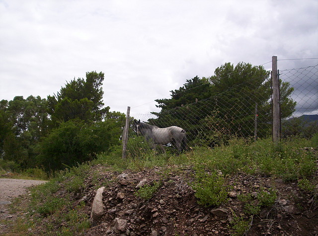 Base del Cerro Enero 2011 022