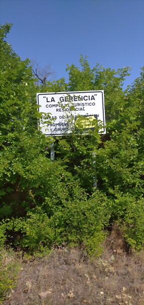 IMG_20220805_114637_1 IMG_20220805_114637_1