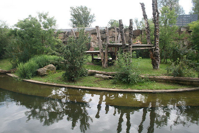Zoo Praga 21-06-11 825 Zoo Praga 21-06-11 825