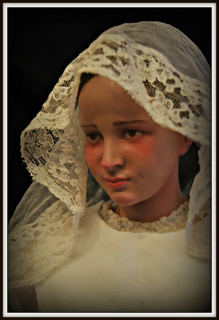 DSC_3239 DSC_3239