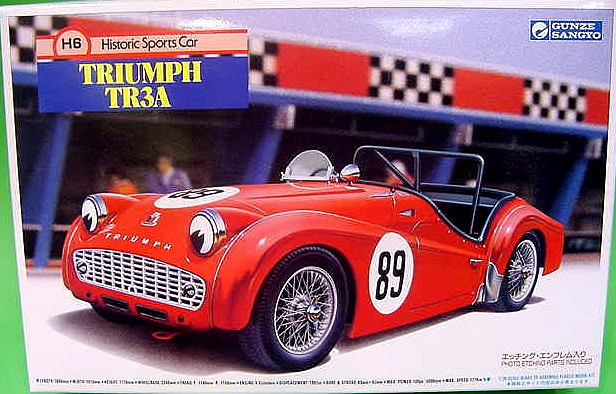 Gunze Sangyo Triumph TR3A Racing