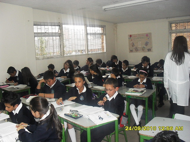 SDC11070 SDC11070