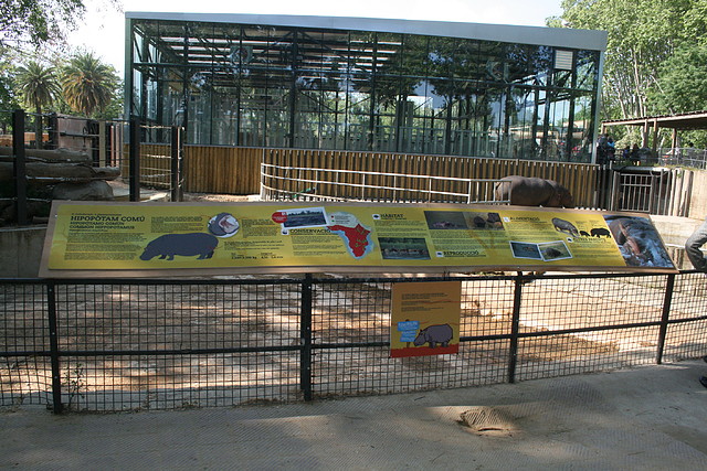 Zoo de Barcelona 20-04-11 159 Zoo de Barcelona 20-04-11 159