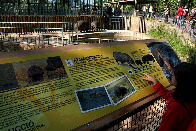 Zoo de Barcelona 20-04-11 166 Zoo de Barcelona 20-04-11 166