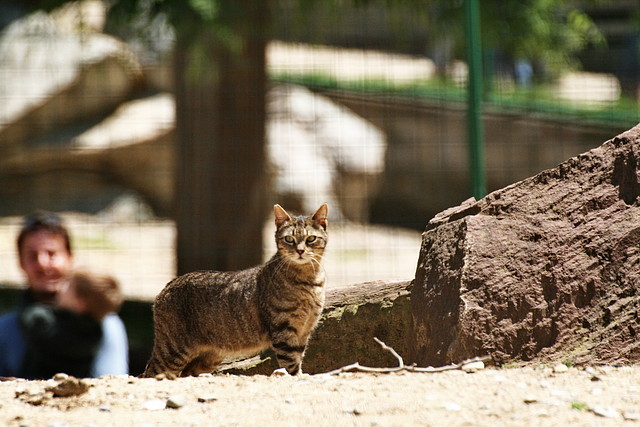 Zoo de Barcelona 744
