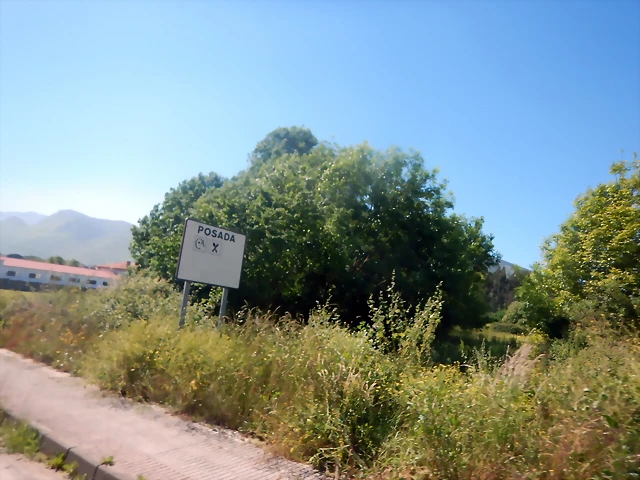 DSCN7116 DSCN7116