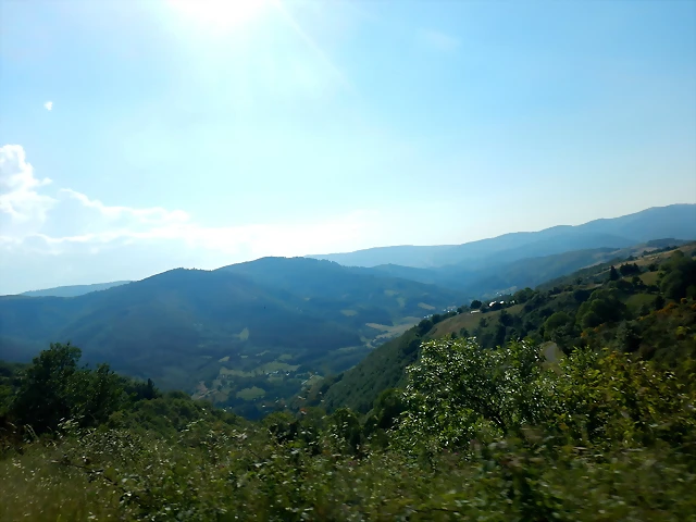 DSCN2393 DSCN2393