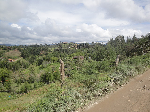 panoramica de abreo