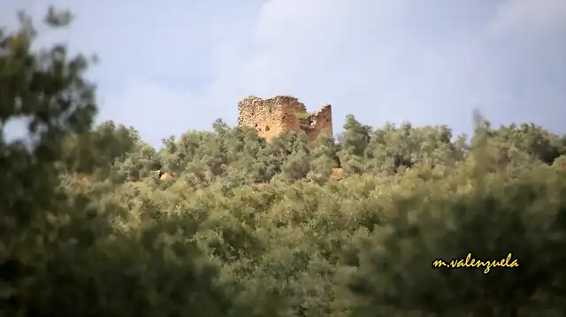 02, entre olivas, marca