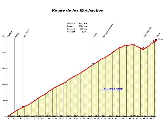 roque muchachos roque muchachos