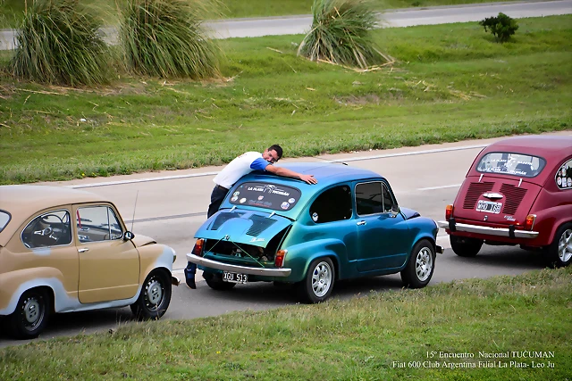 DSC_0499 DSC_0499