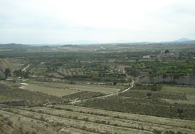 El Margen. 2015 Murcia.com
