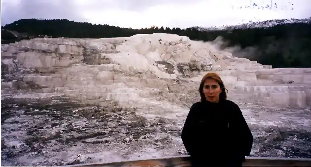 Yellowstone nuria