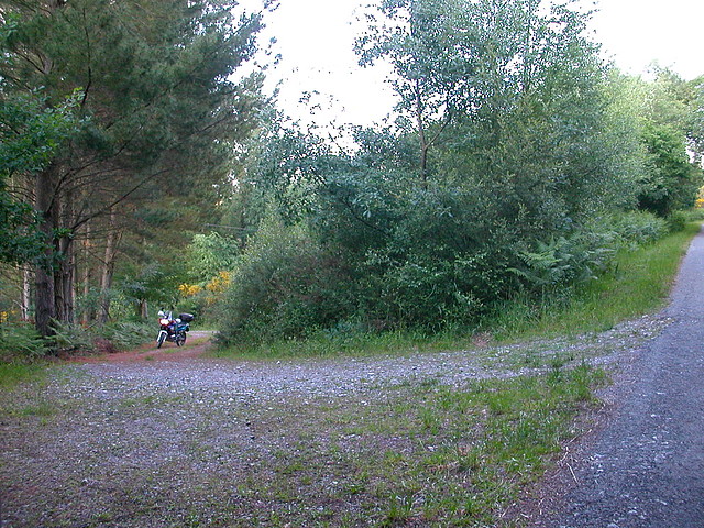 DSCN1193 DSCN1193