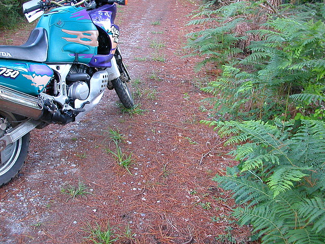 DSCN1194 DSCN1194