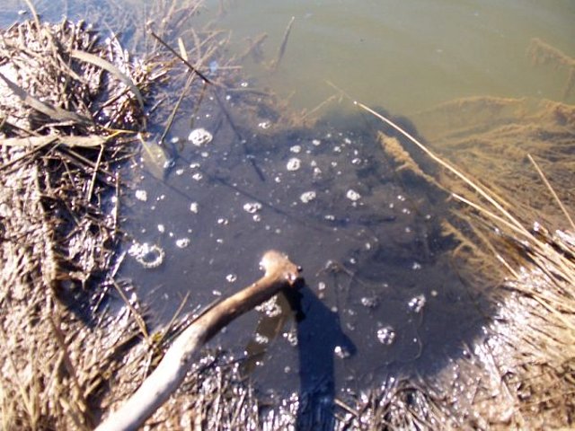 Aguas contaminadas en m.de Riotinto-09.02.10