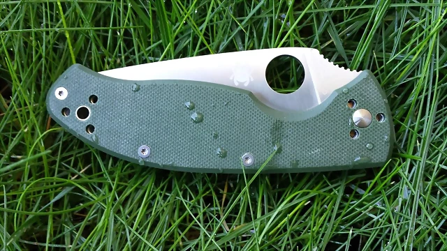 Spyderco Tenacious Green