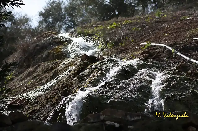 011, agua en las caadas, marca