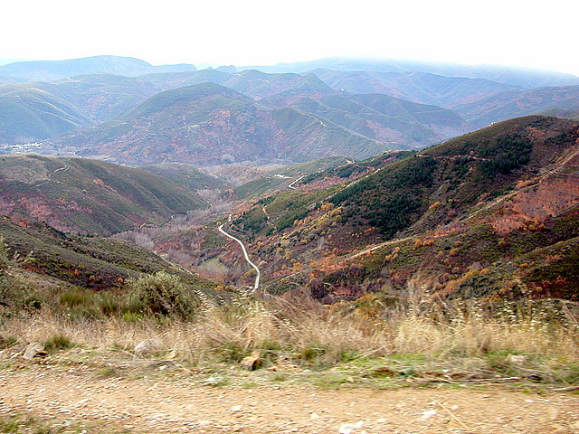 DSCN9528 DSCN9528