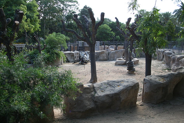 Zoo de Barcelona 21-07-2010 007 Zoo de Barcelona 21-07-2010 007