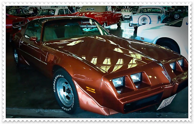 Trans am 79-81 TF-4201-P Trans am 79-81 TF-4201-P