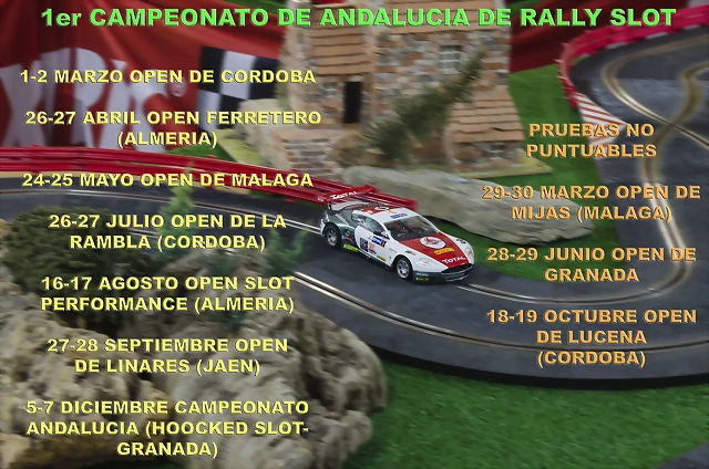 cartel campeonato andalucia