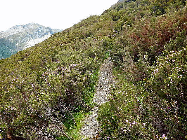 Sendero cui?a