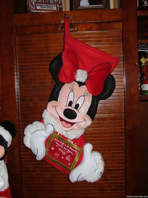 Bota Minnie 2006 Bota Minnie 2006