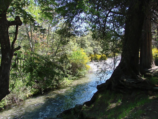 san martin de los andes 294 san martin de los andes 294