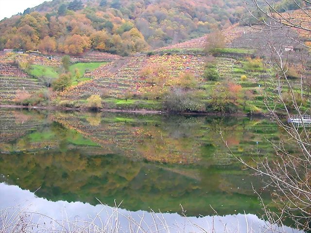 DSCN0219 DSCN0219