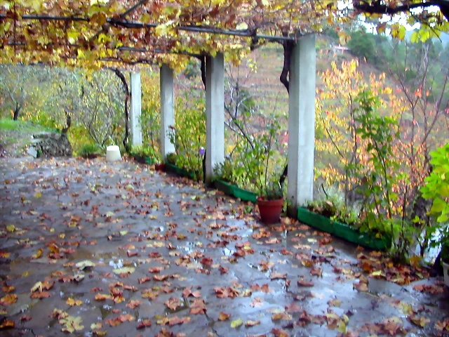 DSCN0300 DSCN0300