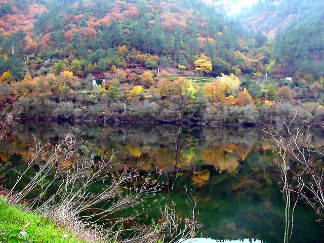 DSCN0230 DSCN0230
