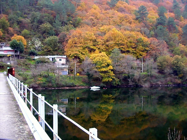 DSCN0239 DSCN0239