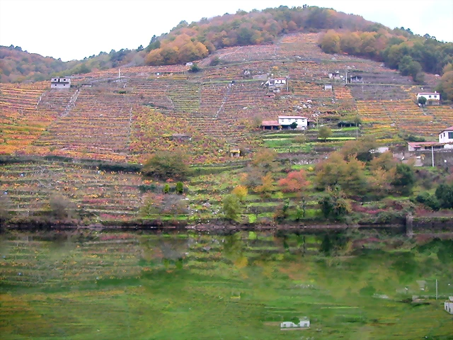 DSCN0216 DSCN0216