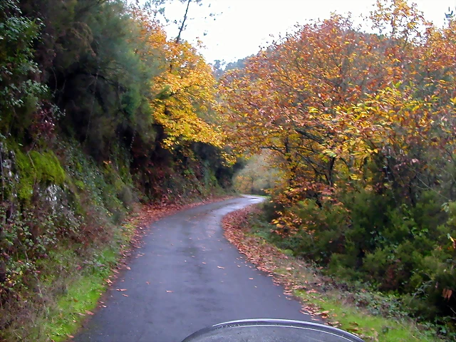 DSCN0247 DSCN0247