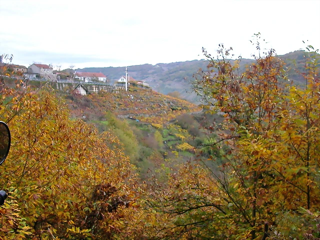 DSCN0250 DSCN0250
