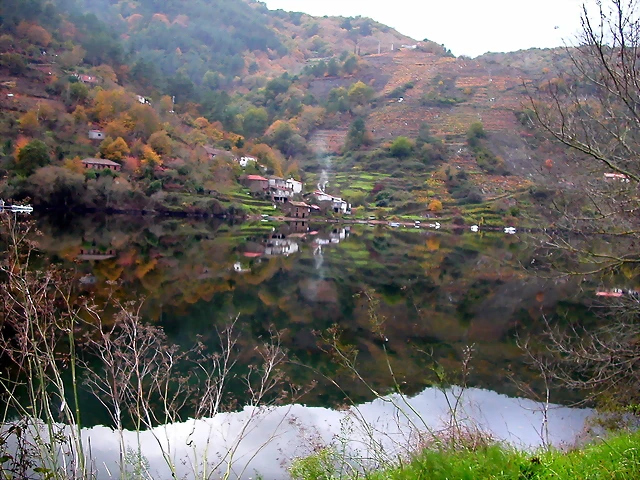 DSCN0231 DSCN0231