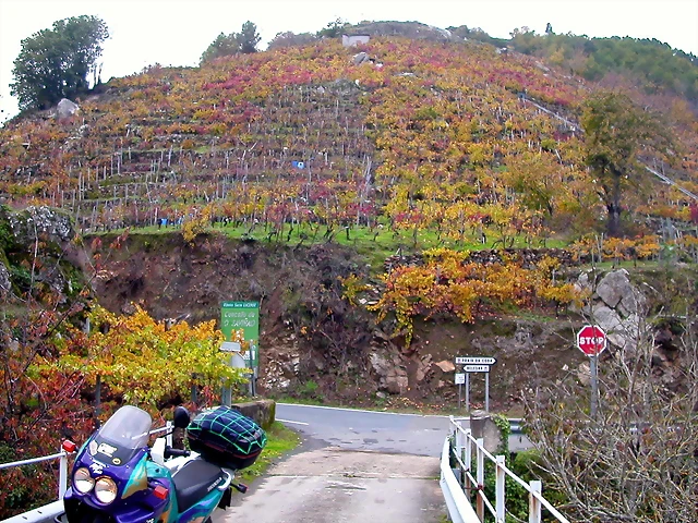 DSCN0240 DSCN0240