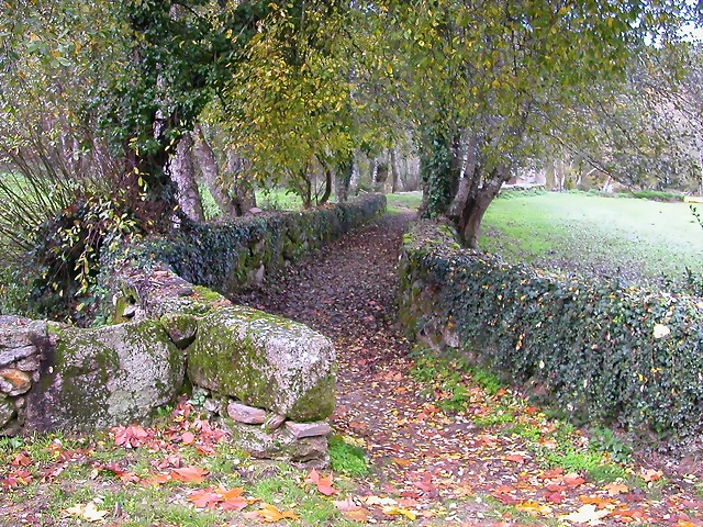 DSCN0112 DSCN0112