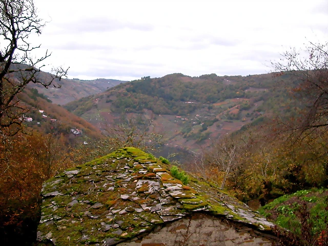 DSCN0270 DSCN0270