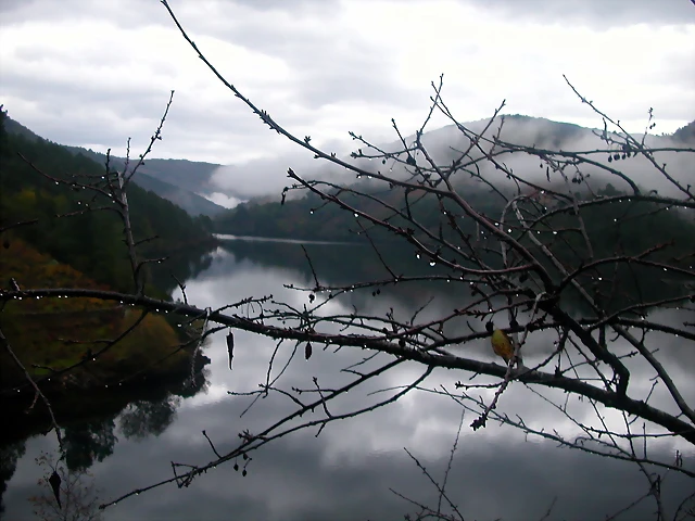DSCN0306 DSCN0306