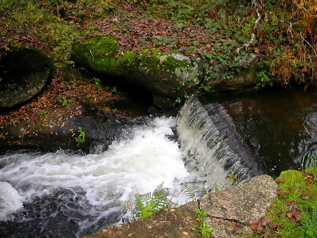 DSCN0115 DSCN0115