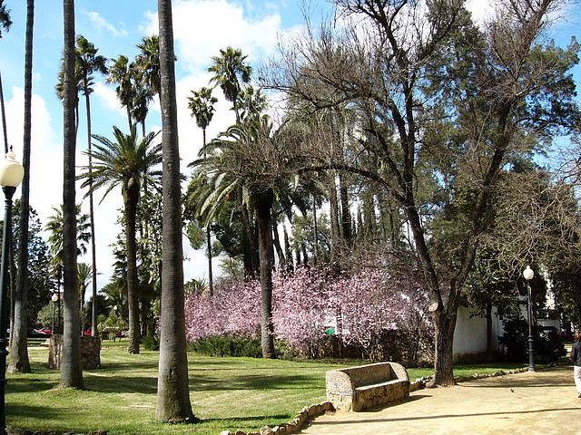 Badajoz (185) Badajoz (185)