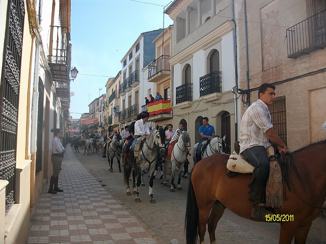 CABALLOS 229