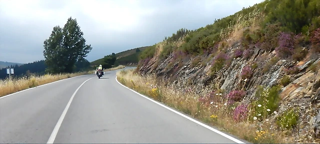 ruta ruta