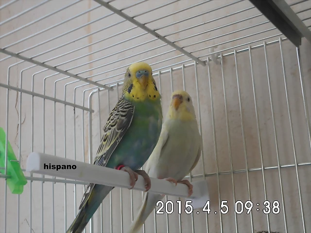 CIMG0884 CIMG0884