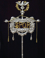 senatus 3000 senatus 3000