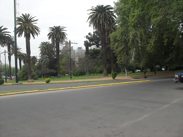 SDC11171 SDC11171